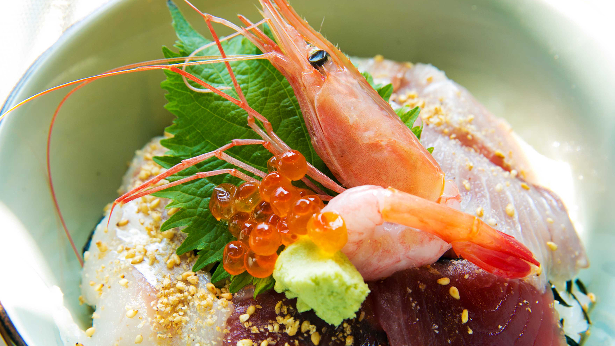 毎日水揚げされる駿河湾近海で獲れた新鮮魚介。刺身で、焼いて、干して旨い！沼津港は日本一の味処です