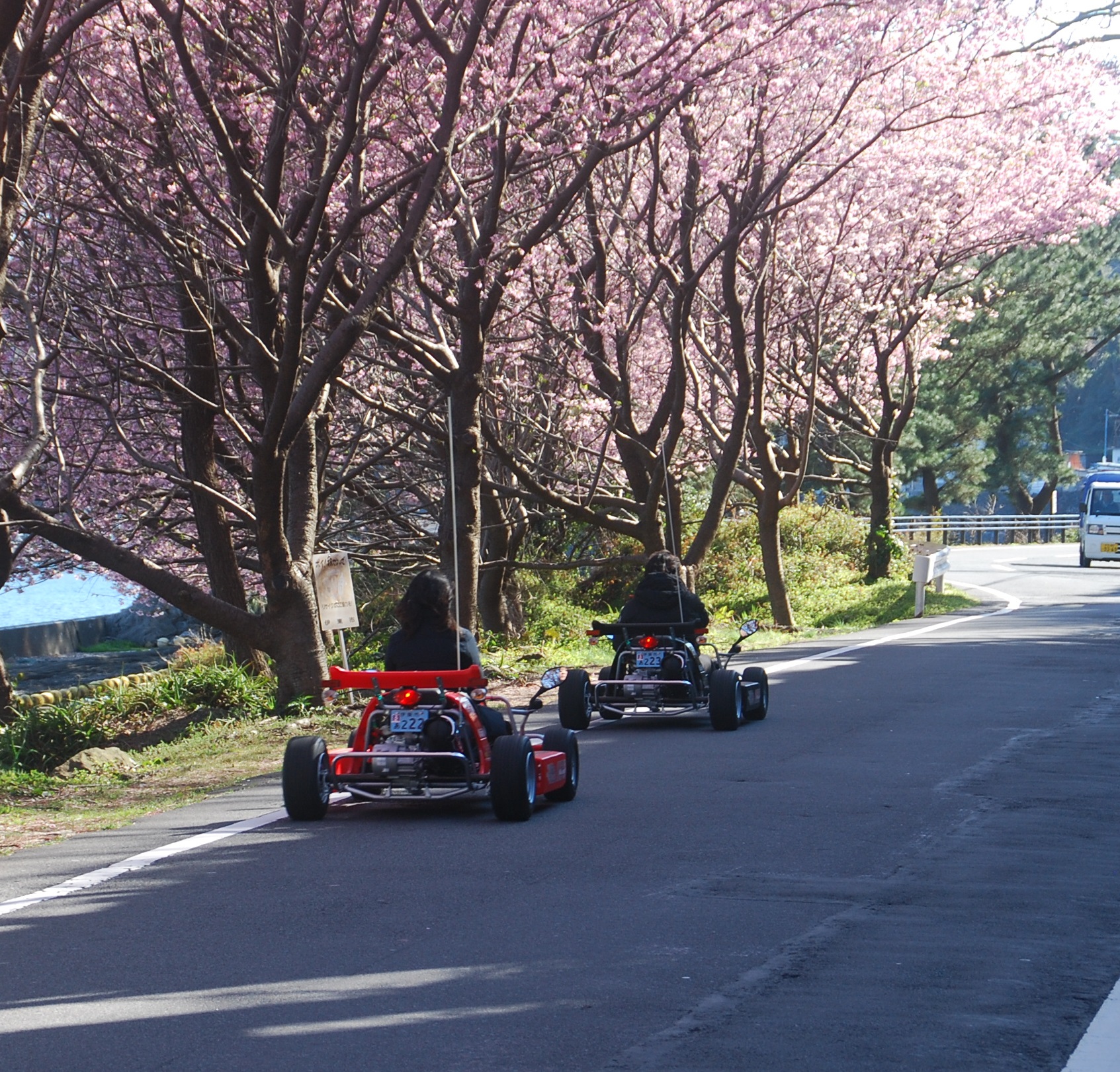 カート・城ヶ崎海岸