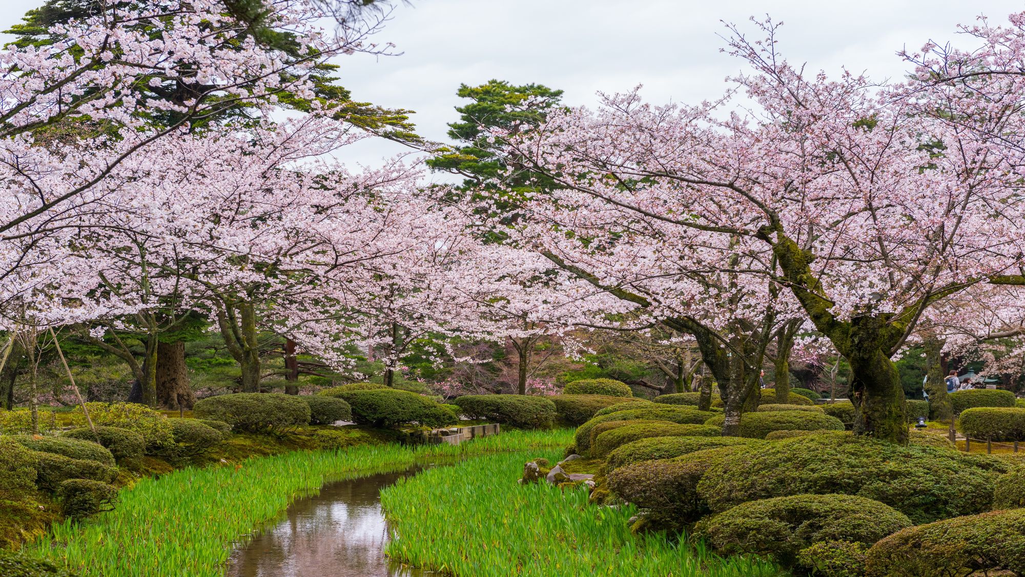 兼六園