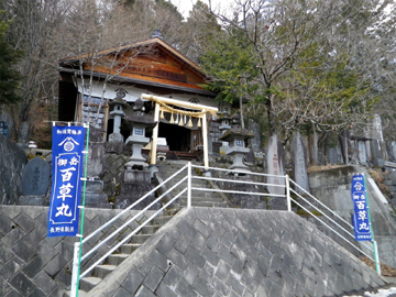 写真4