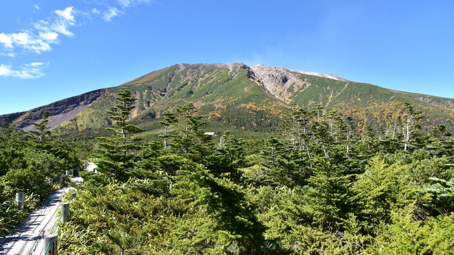 *御嶽山／田の原高原からのぞむ御嶽山山頂。七合目に位置し、遊歩道では希少な高山植物を楽しめます。