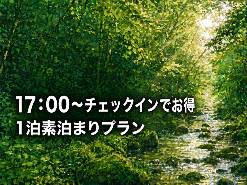 【素泊まり】17：00~チェックイン♪ウェルカムドリンク(お酒＆ノンアル)やスイーツアイスお夜食付！