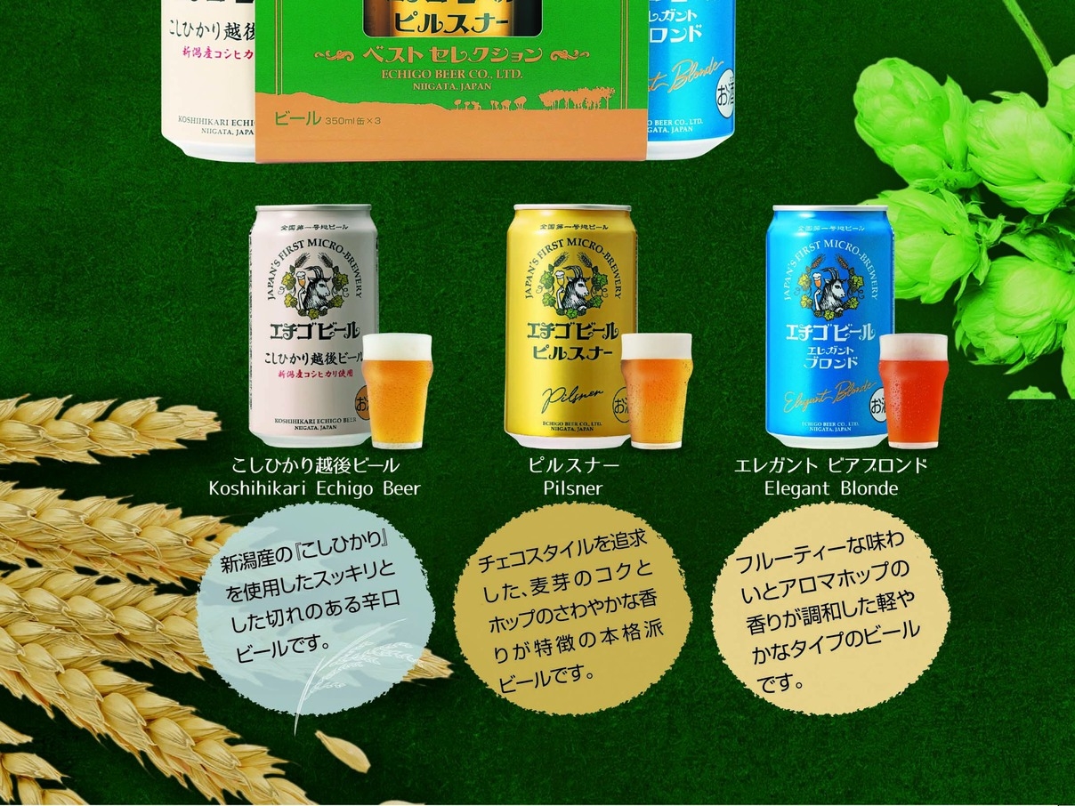 〈新潟泊〉出張応援!!☆レジャー観光☆エチゴビール缶（350ml）3本セットプレゼント！【素泊り】