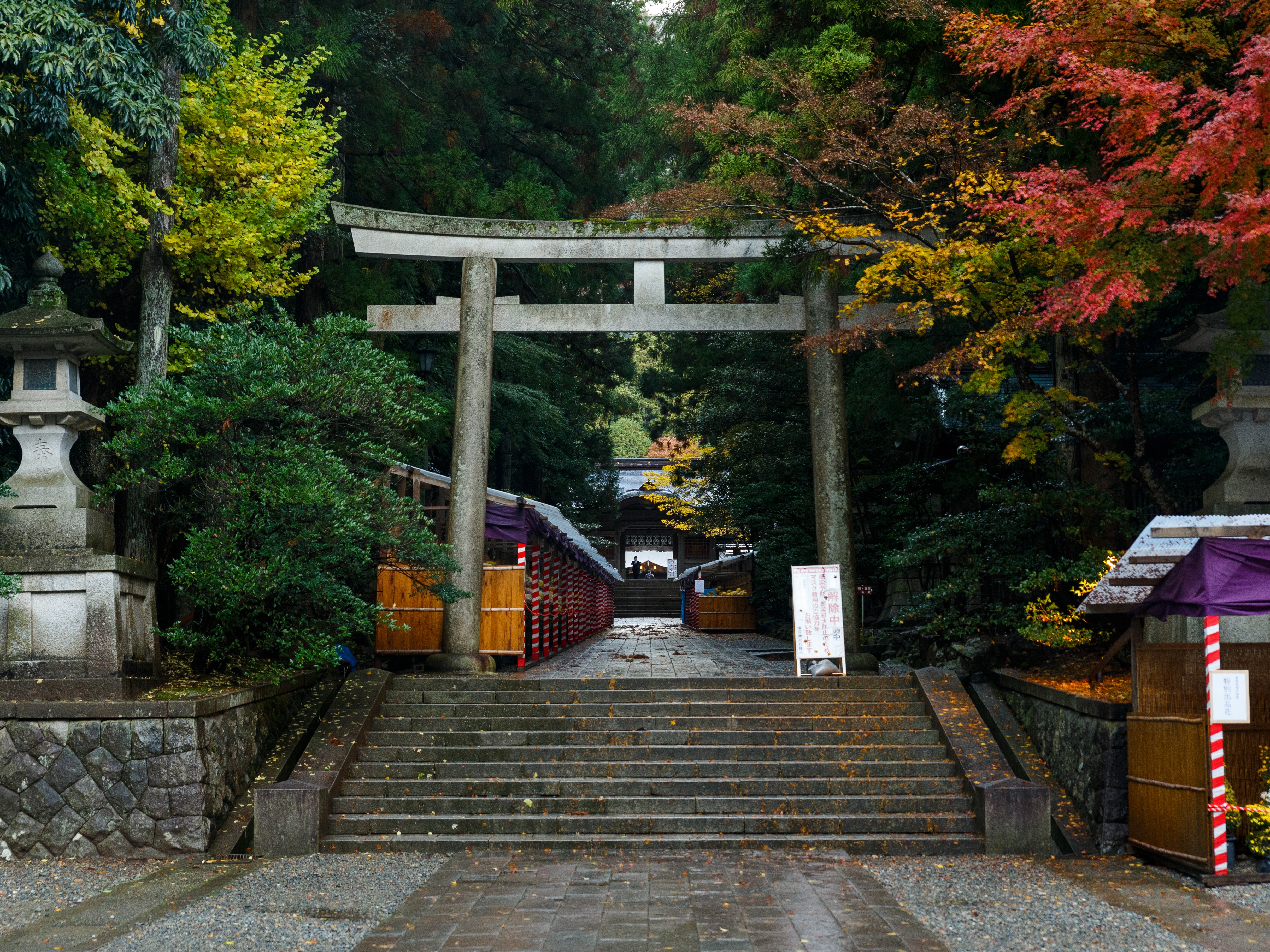 新潟でも有名なパワースポットでもある弥彦神社