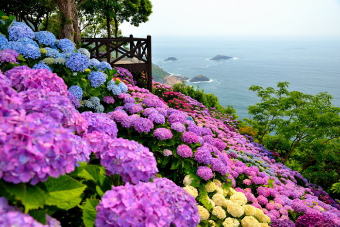 写真2