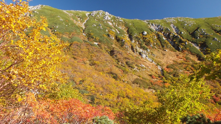 【素泊まり】チェックイン22時まで可能。ビジネスや登山、観光に便利な伊那谷の宿
