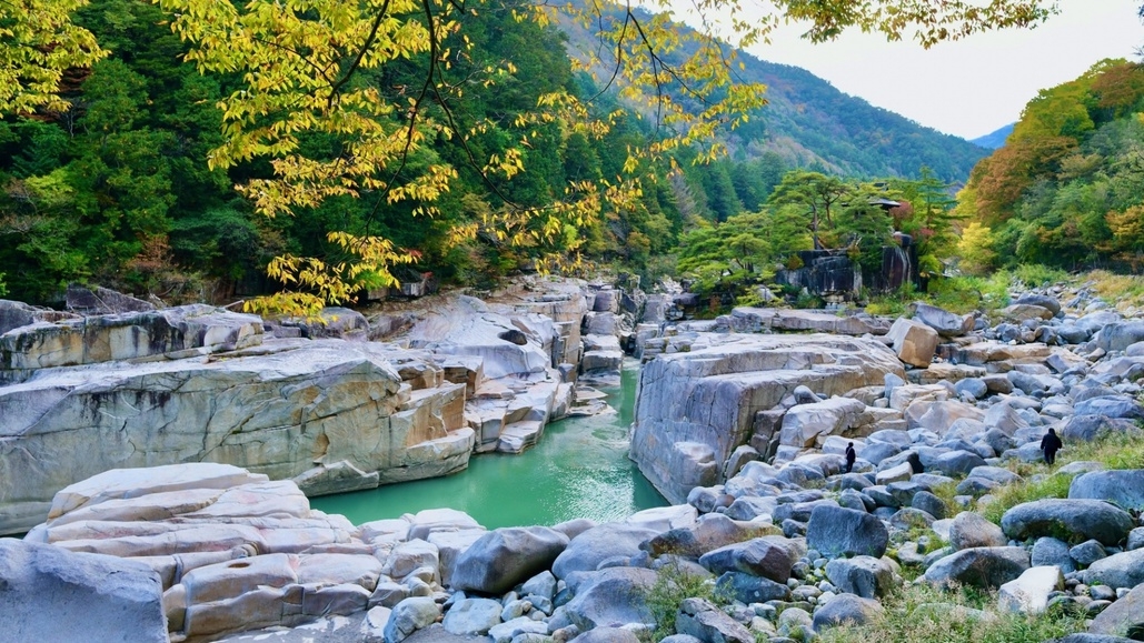 【素泊まり】チェックイン22時まで可能。ビジネスや登山、観光に便利な伊那谷の宿
