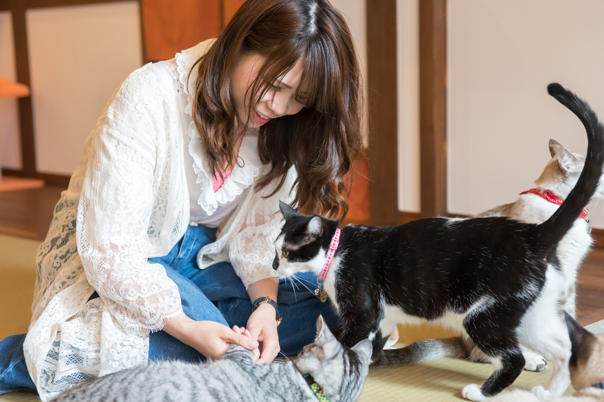 ≪朝食付き≫★夕食は白馬の街へお出かけ♪一泊朝食付き★【現金特価】【ファミリー】【カップル】