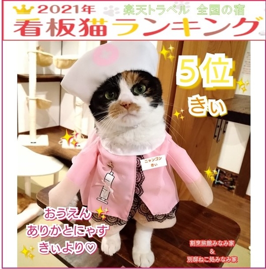 割烹旅館みなみ家 別邸 ねこ処みなみ家 設備 アメニティ 基本情報 楽天トラベル