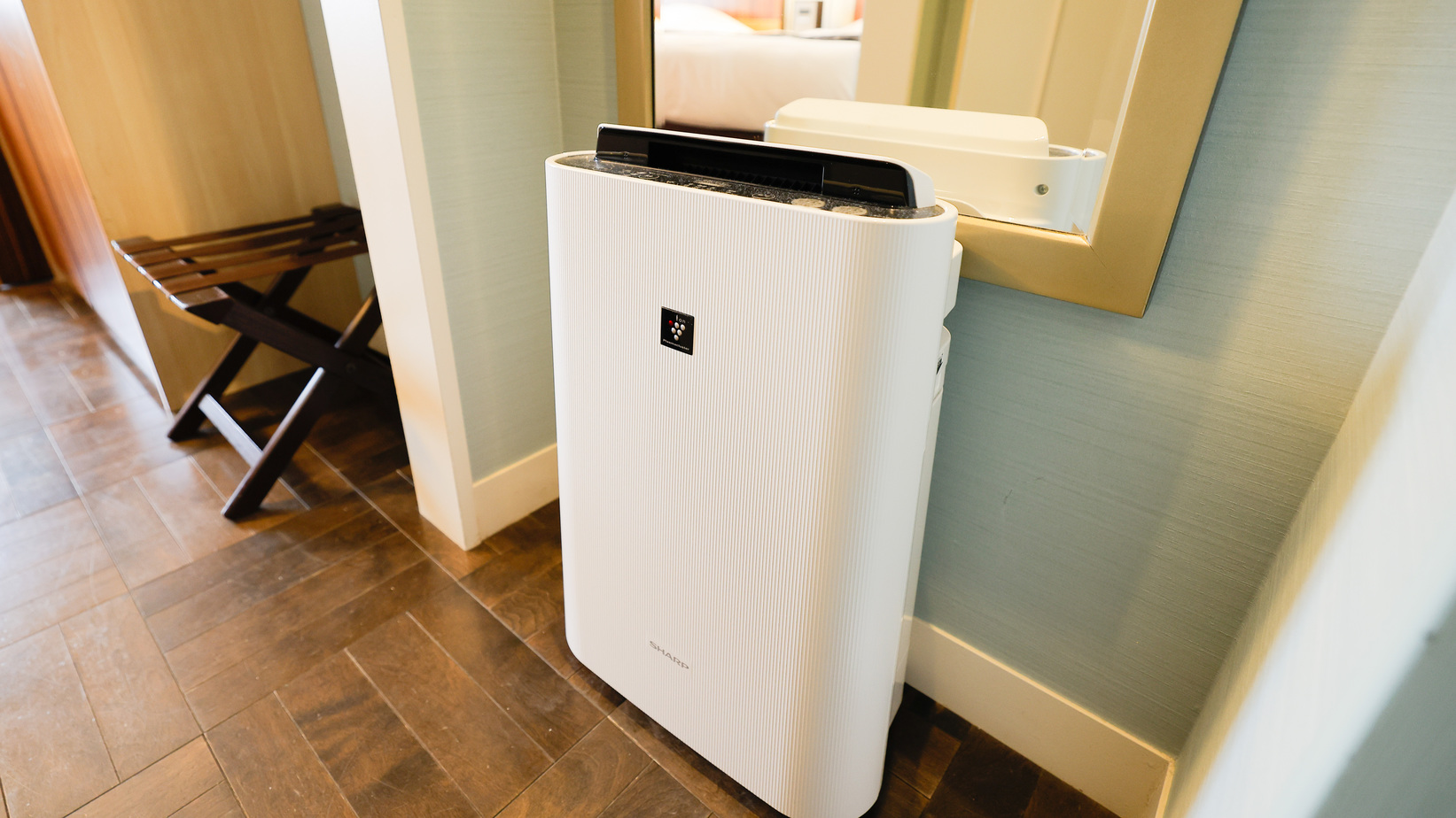 【返金不可】条件あえばお得に宿泊♪事前カード決済限定ステイ＜素泊り＞