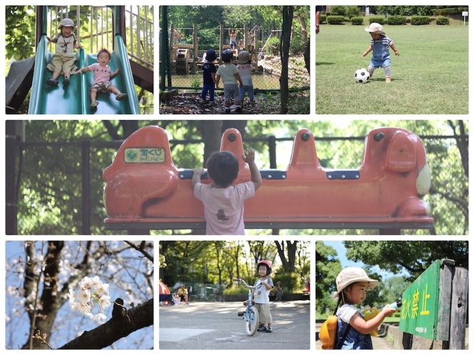 近隣の公園 Nearby park