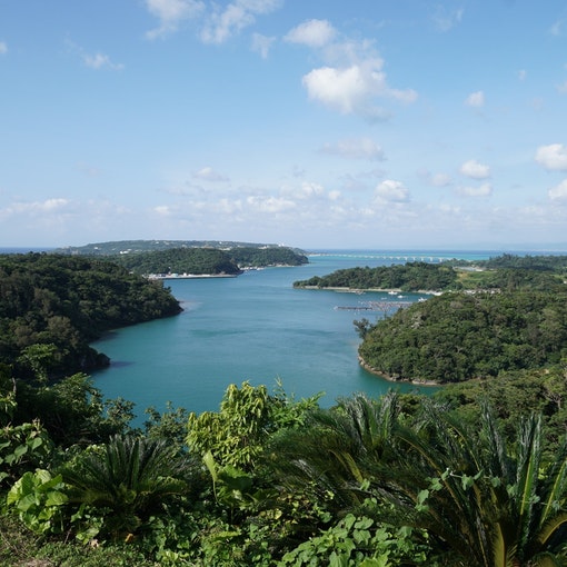橋の駅リカリカワルミ屋上からの眺め 車で5分 / View from the rooftop...