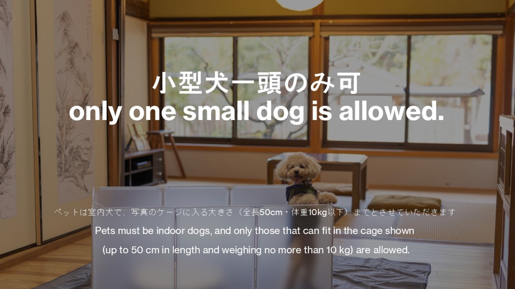 ペット同伴の場合は必ず事前にご連絡をください。