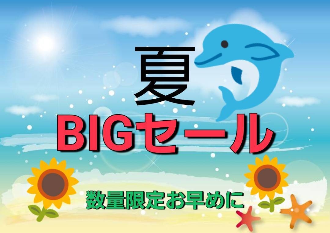 【夏・BIGセール：朝食付】数量限定・見つけたらすぐ予約！！