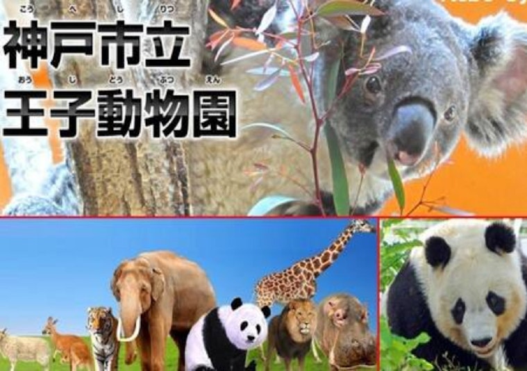 王子動物園