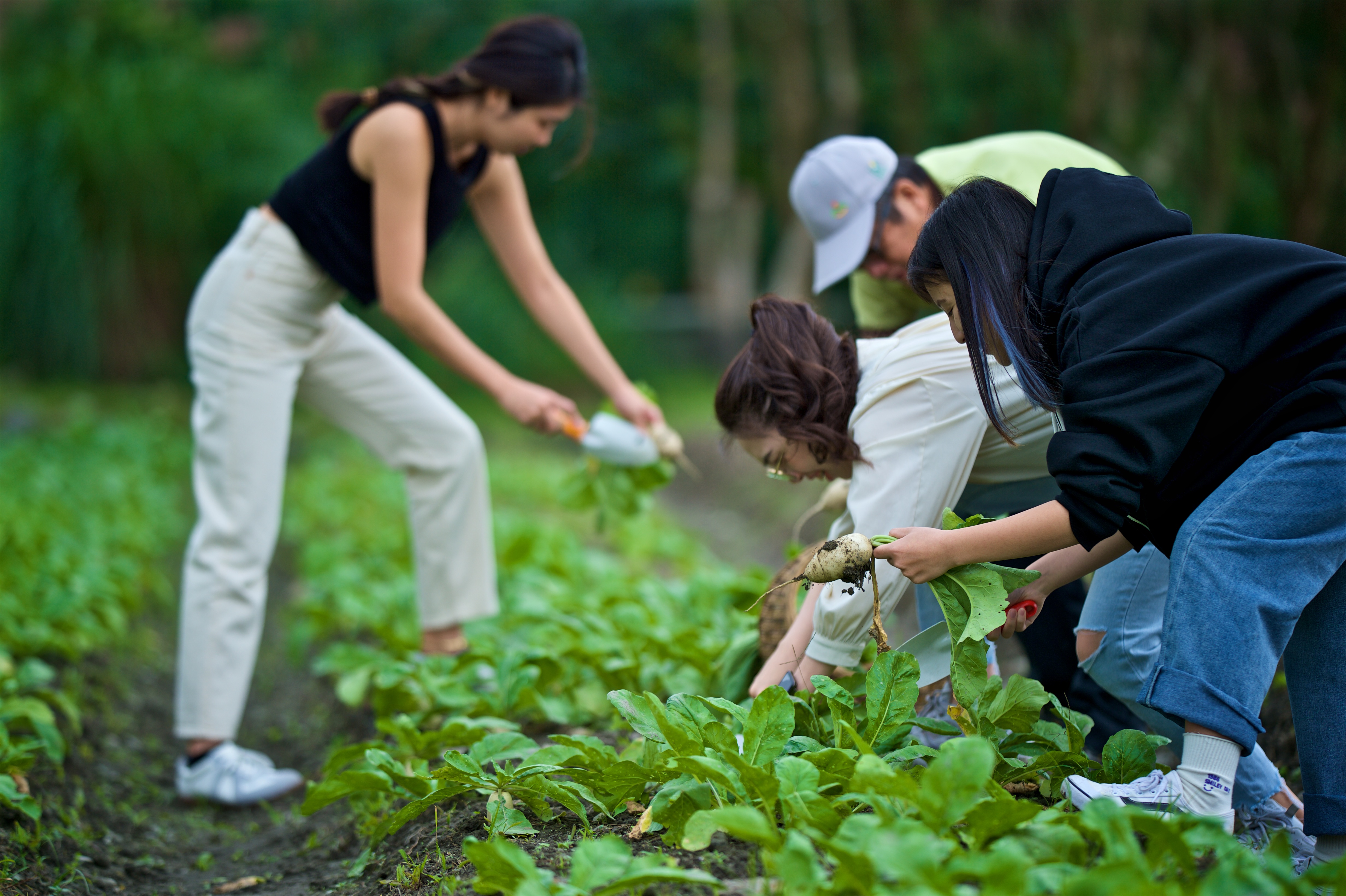 DIYアクティビティ