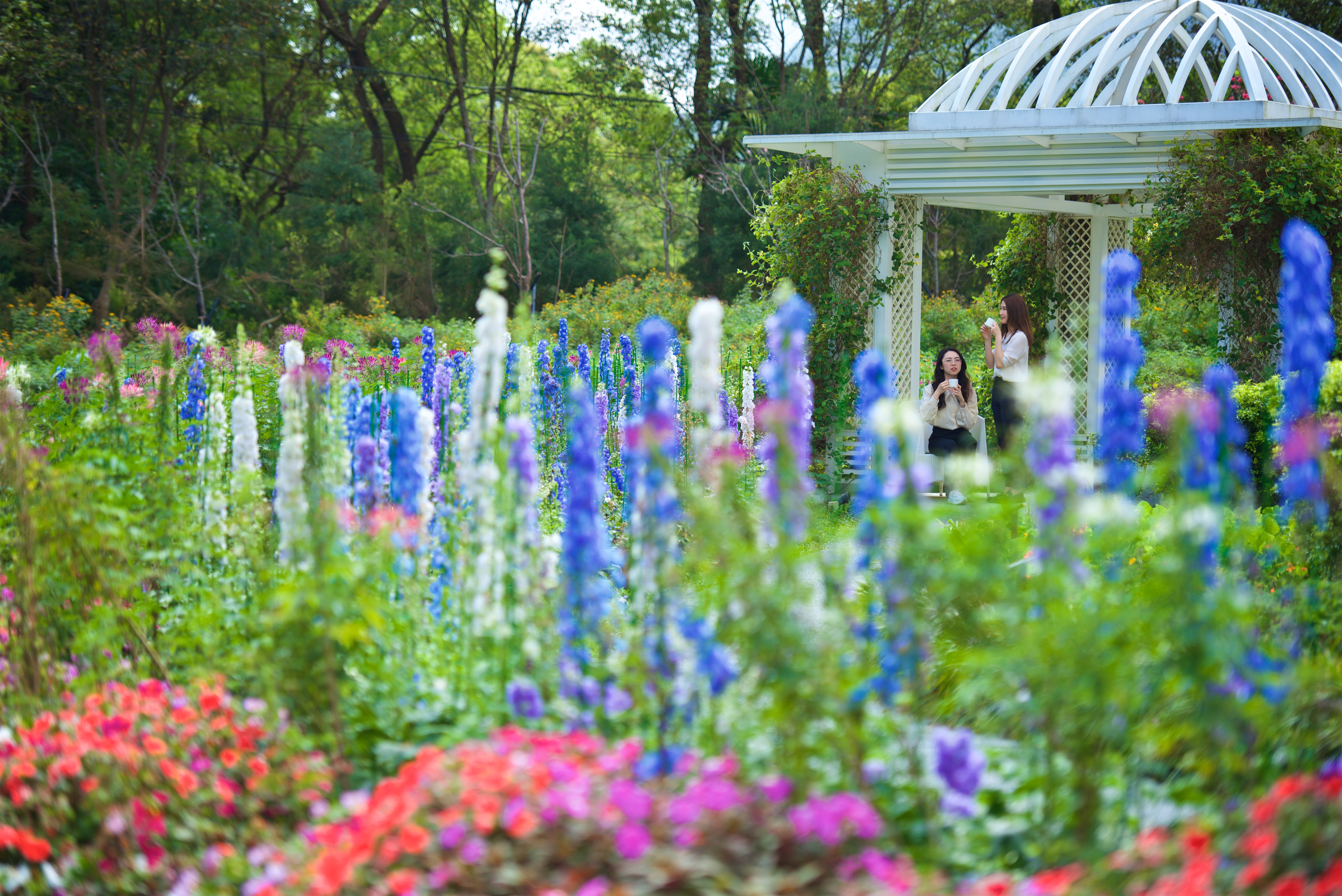 ハーブガーデン