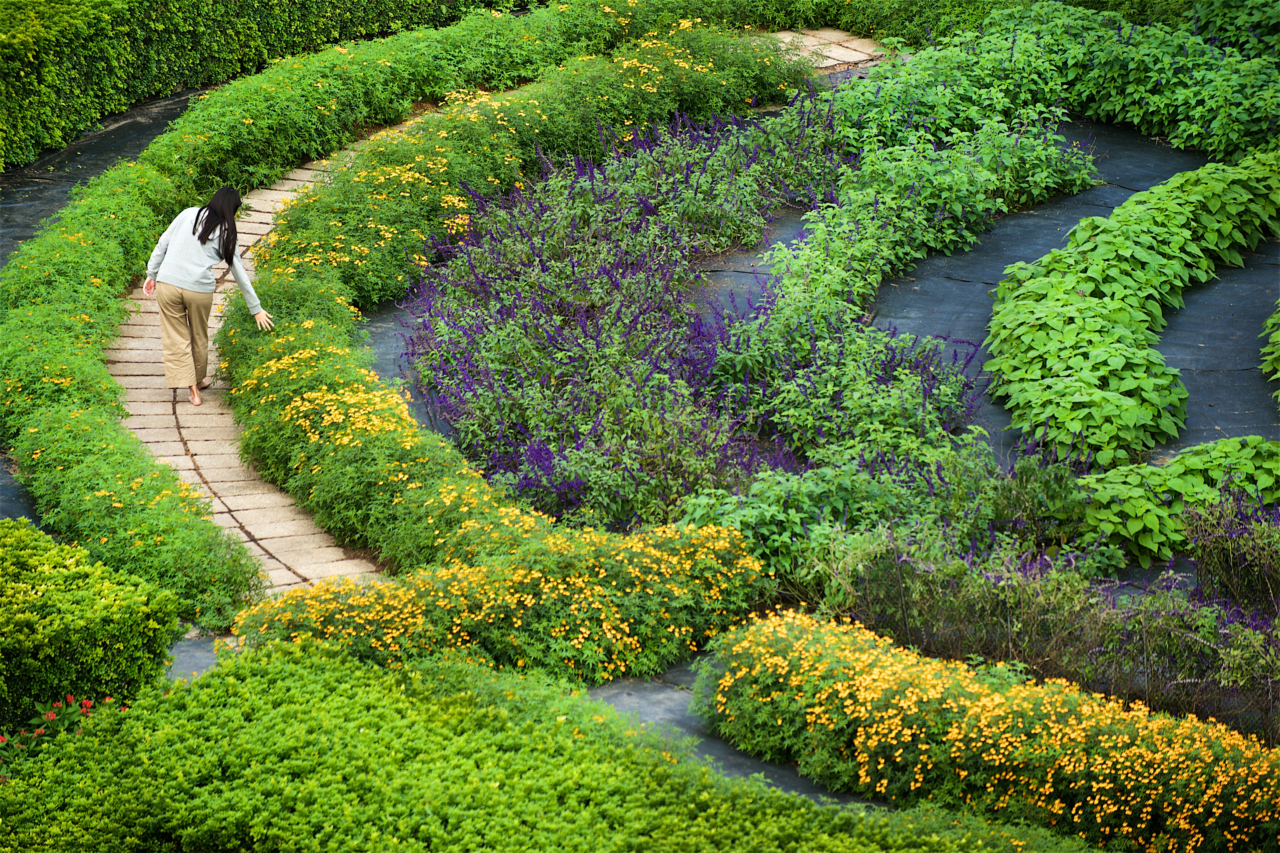 ハーブガーデン