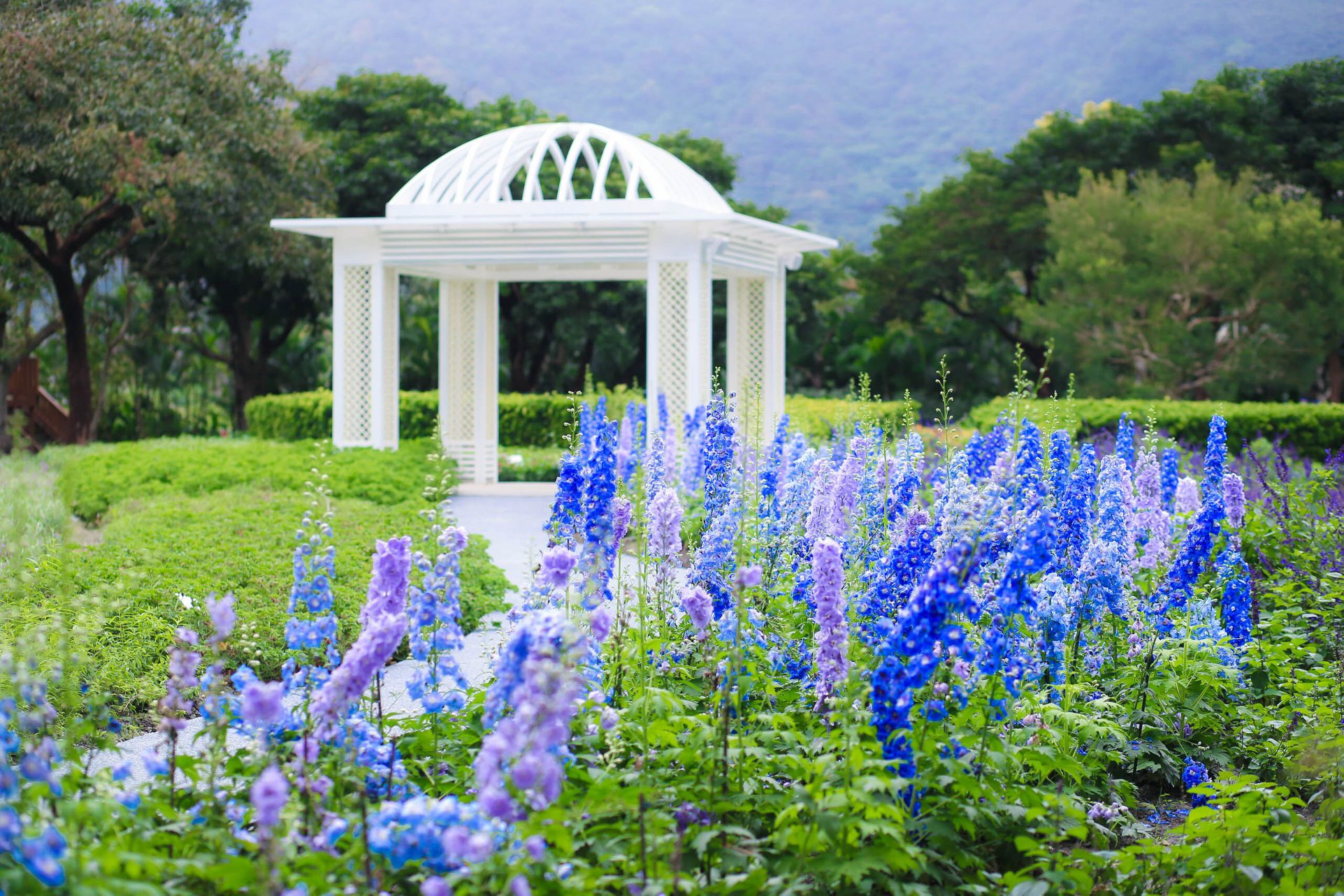 ハーブガーデン