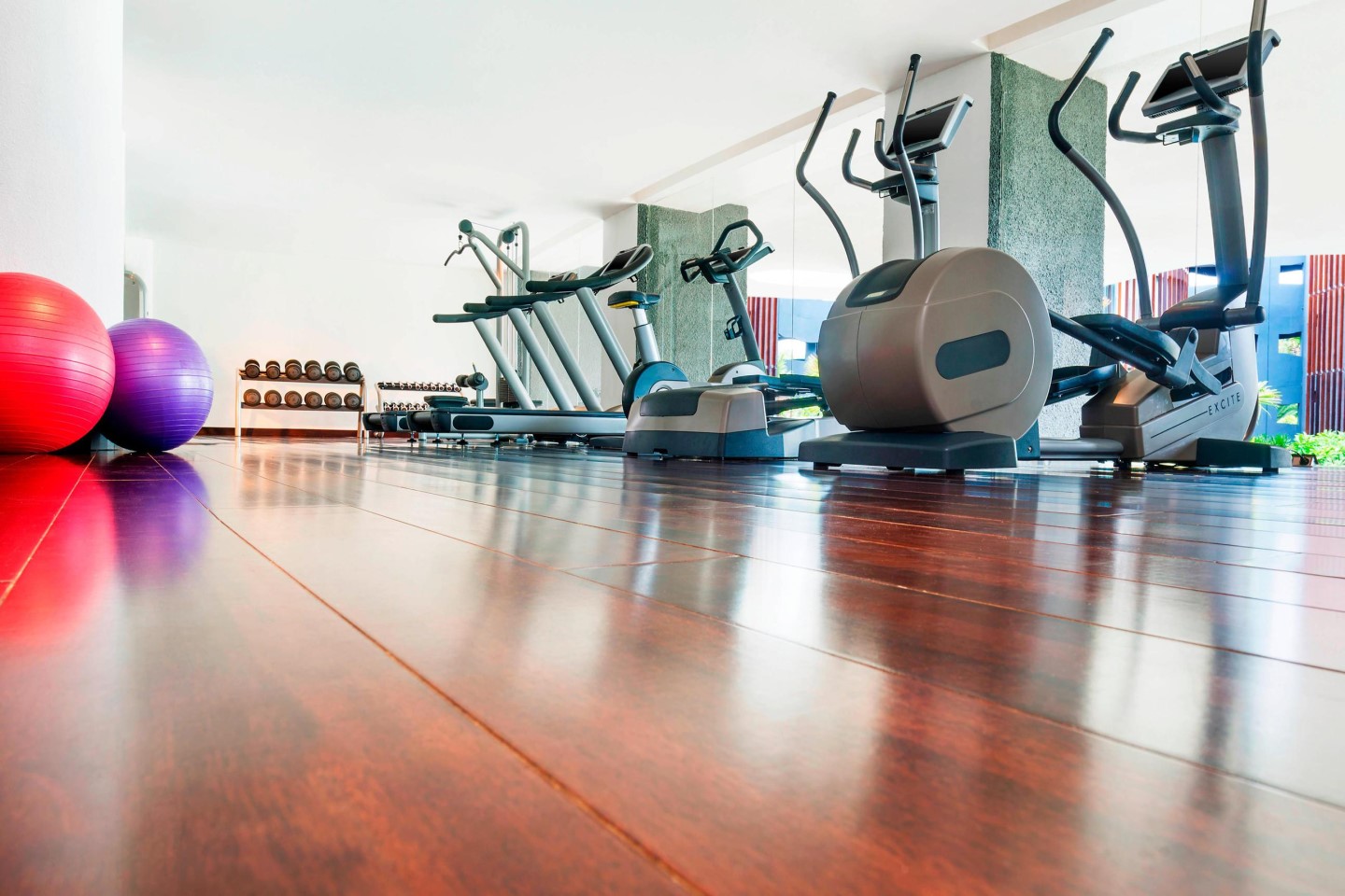 ジム・フィットネス