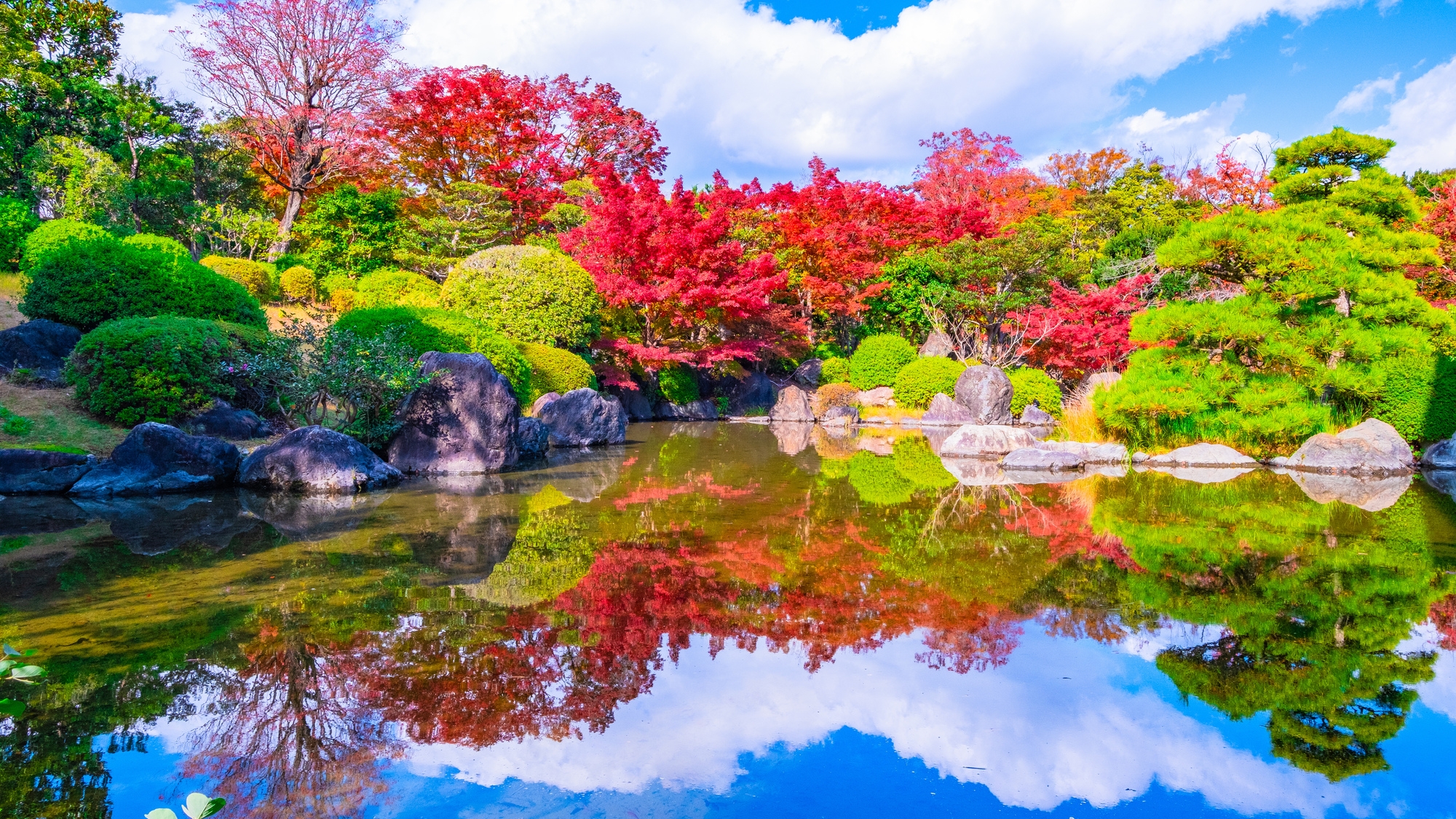 【万博記念公園】当館から電車で35分