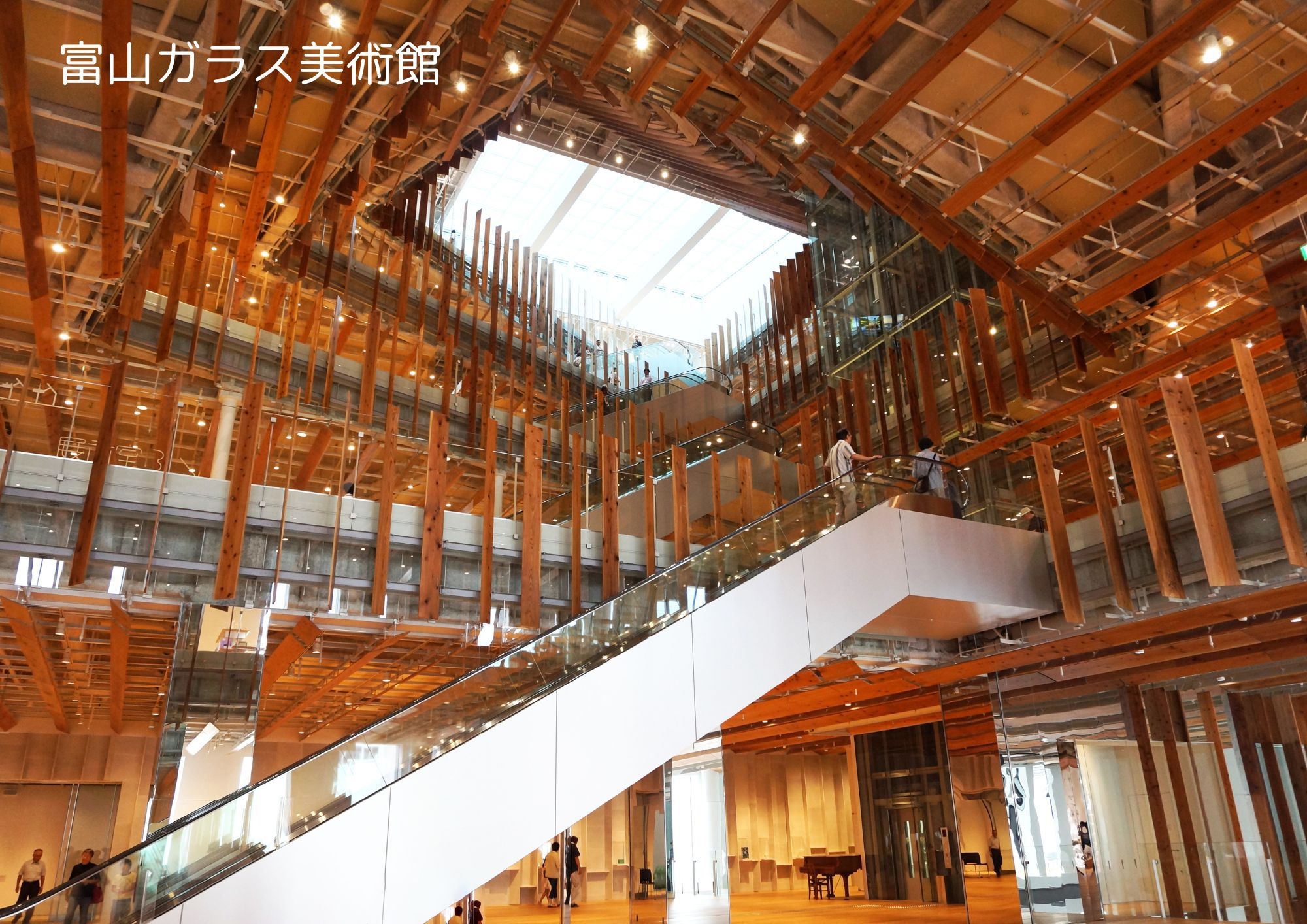 【夏休み企画】富山市博物館共通券・屋内プール・ジム利用券付　アクティビティ宿泊プラン（1泊2食付）