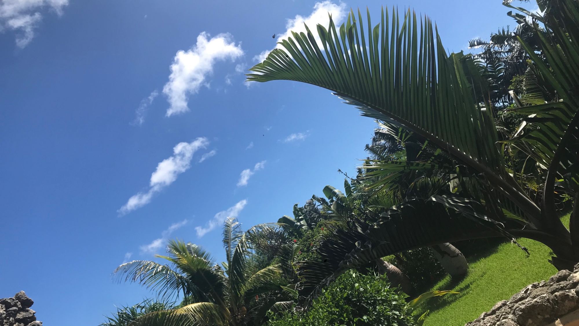 ＊【展望ジャグジーから見える空】