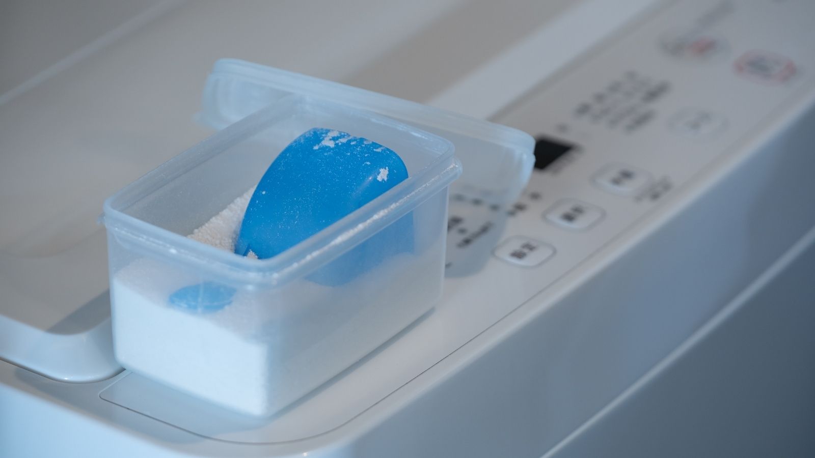 粉末衣料用洗濯洗剤