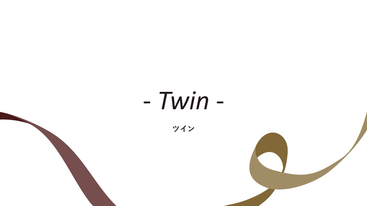 客室紹介(ツイン)