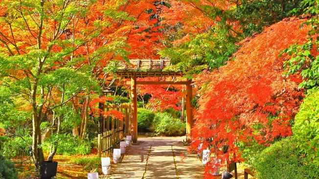 【秋のグレードアップ銀河会席】和牛朴葉焼に鮑・吉次ほか秋の贅沢な味覚を満喫〇松島の絶景と秋グルメ旅