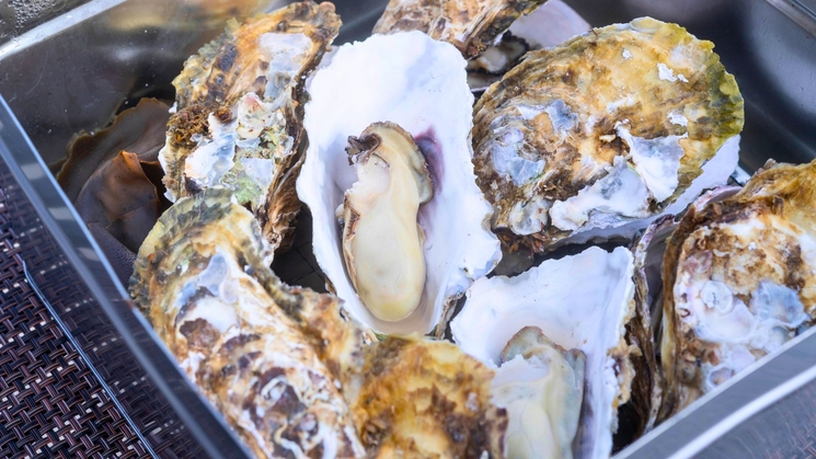 【冬得グルメ★蒸したてが激ウマ！牡蠣のカンカン焼き】 お二人でシェア◎ご夫婦・カップル・親子旅に人気