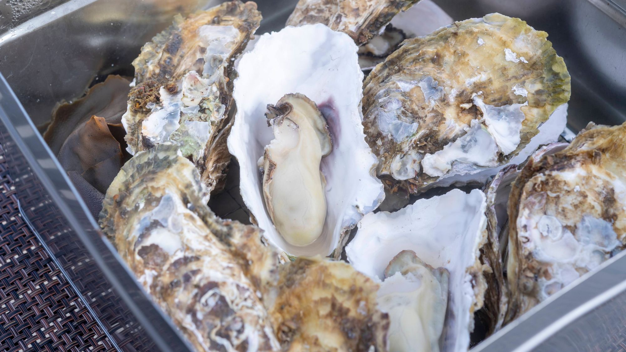 牡蠣のかんかん焼き。素材そのままの旨味が凝縮した漁師メシです。