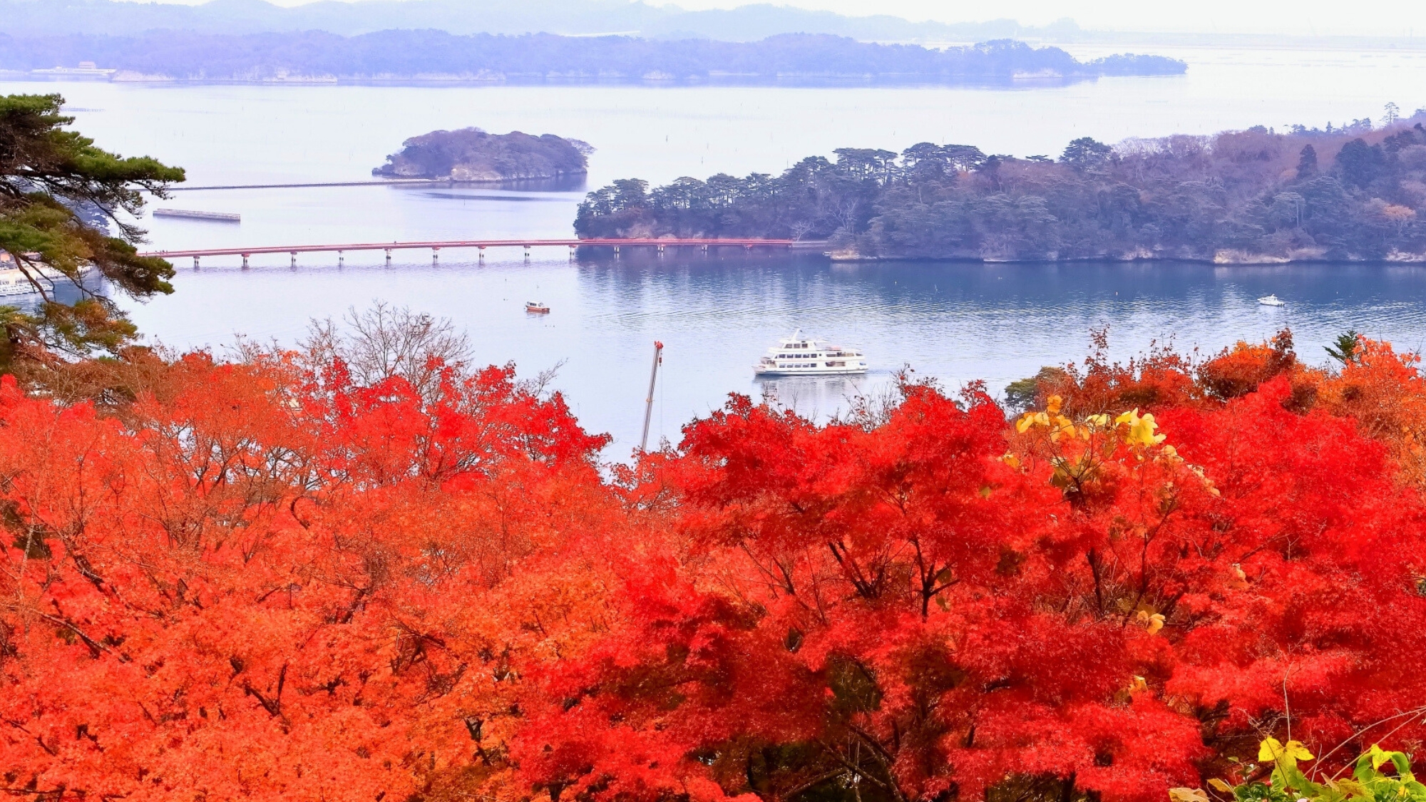 【西行戻しの松公園】秋の眺望。紅葉の奥に松島の島々を望むことができます。