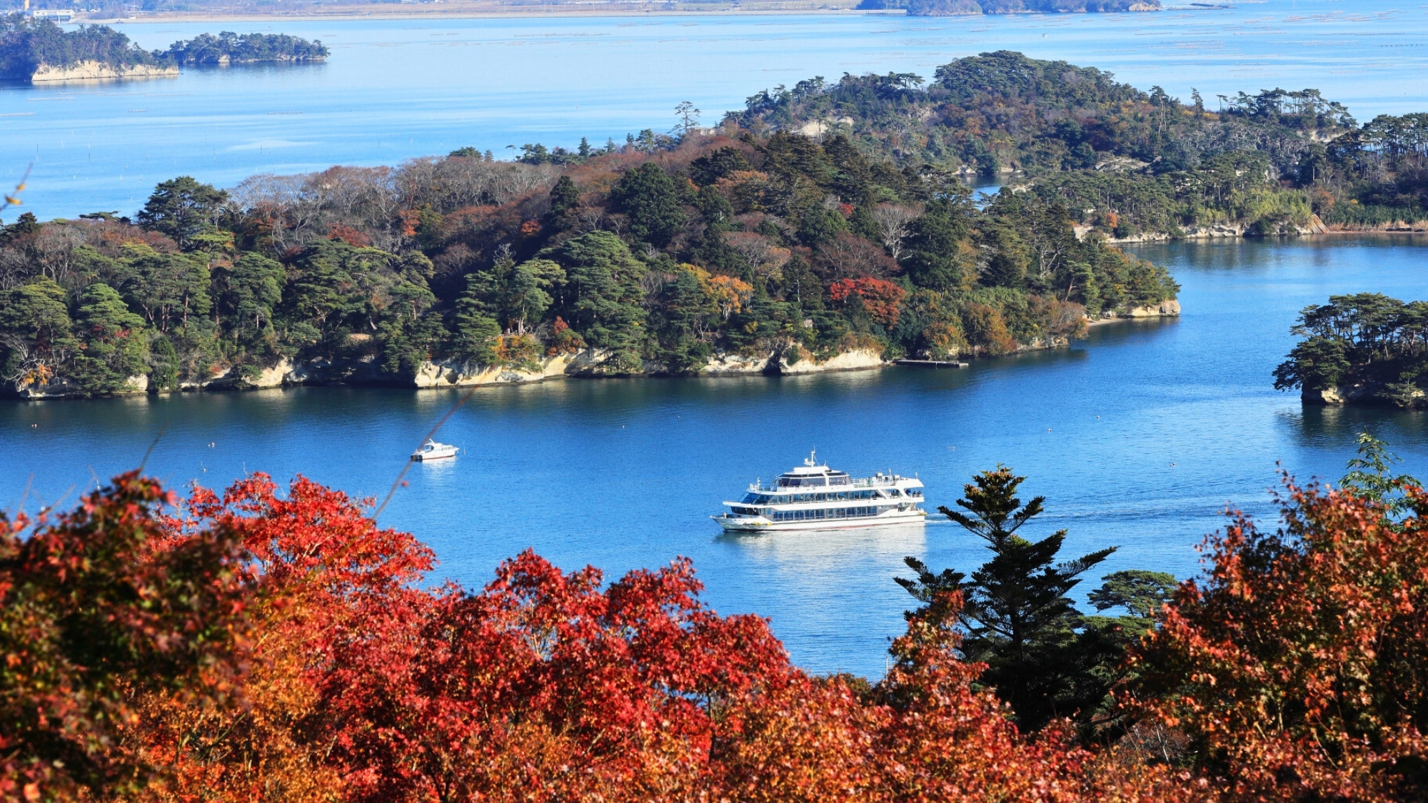秋の松島。島々と海に浮かぶ遊覧船、紅葉が一緒に楽しめる。