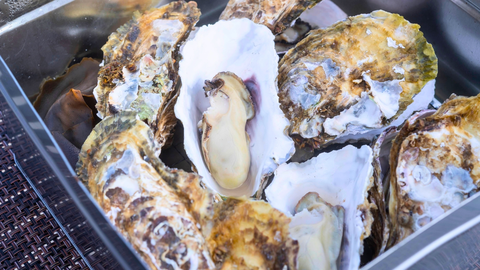 牡蠣の旨味がぎゅっと凝縮したかんかん焼きは熱々蒸したてでどうぞ！