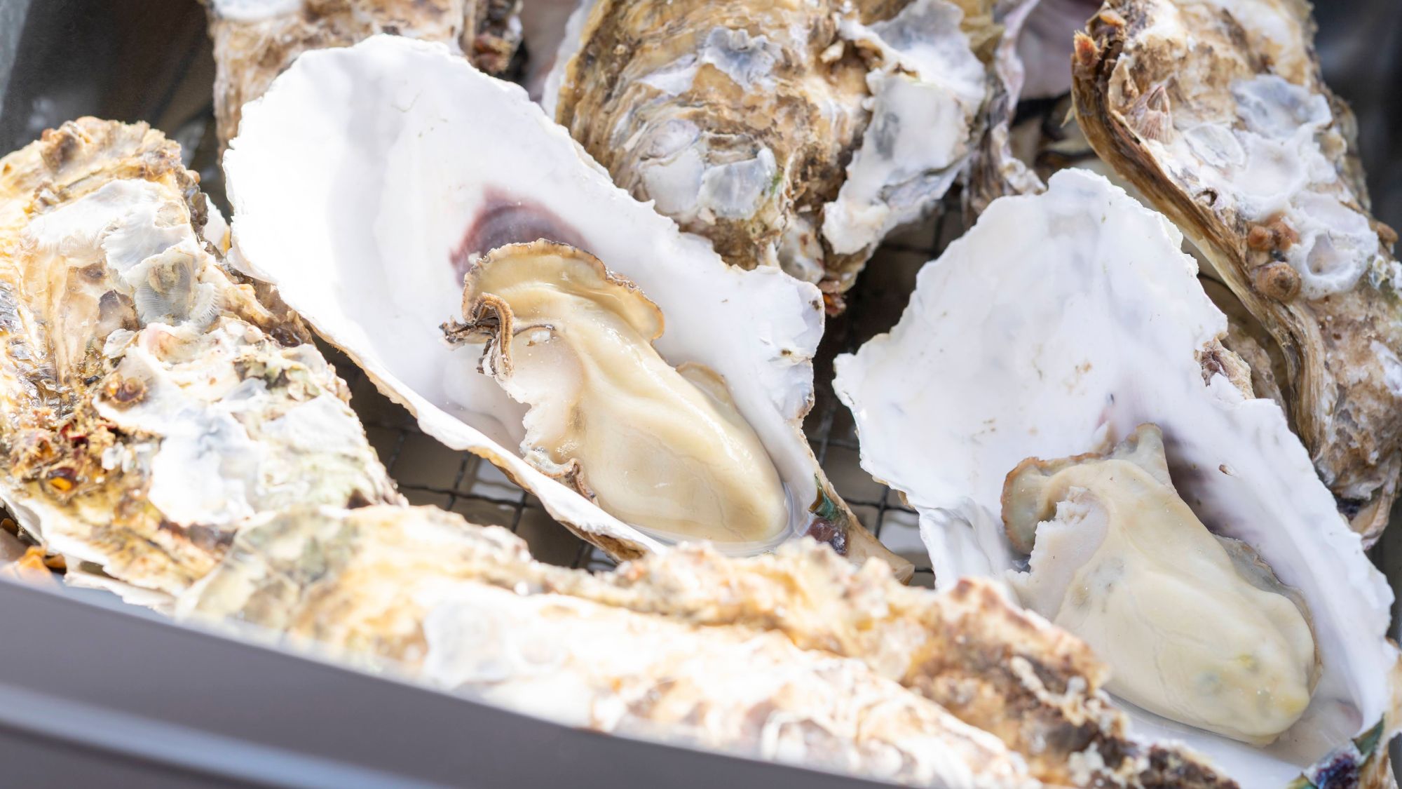 牡蠣を缶に入れて豪快に蒸し上げる「かんかん焼き」蒸し立ては格別の美味しさです。