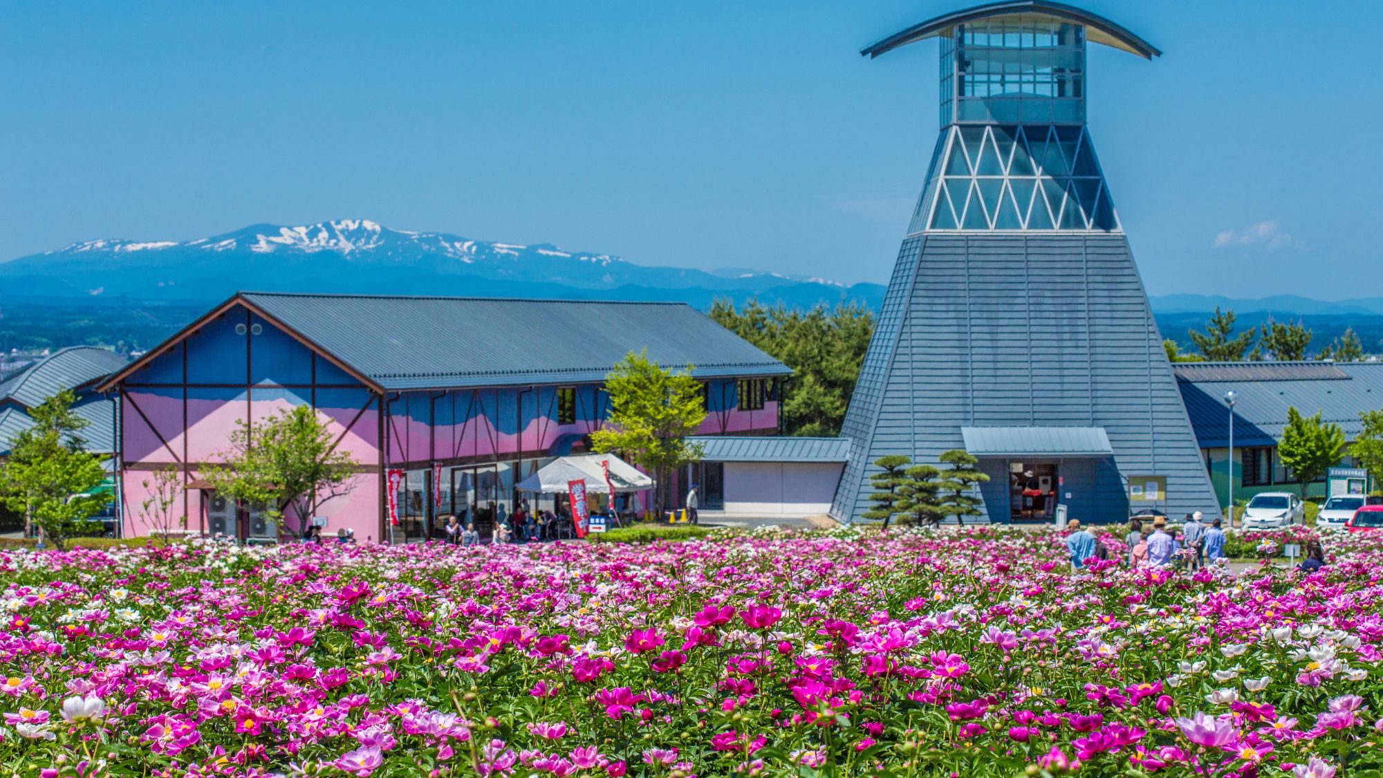 【愛宕山公園】春には桜や芍薬を楽しめます。色麻町の田園風景が一望できるスポットです。