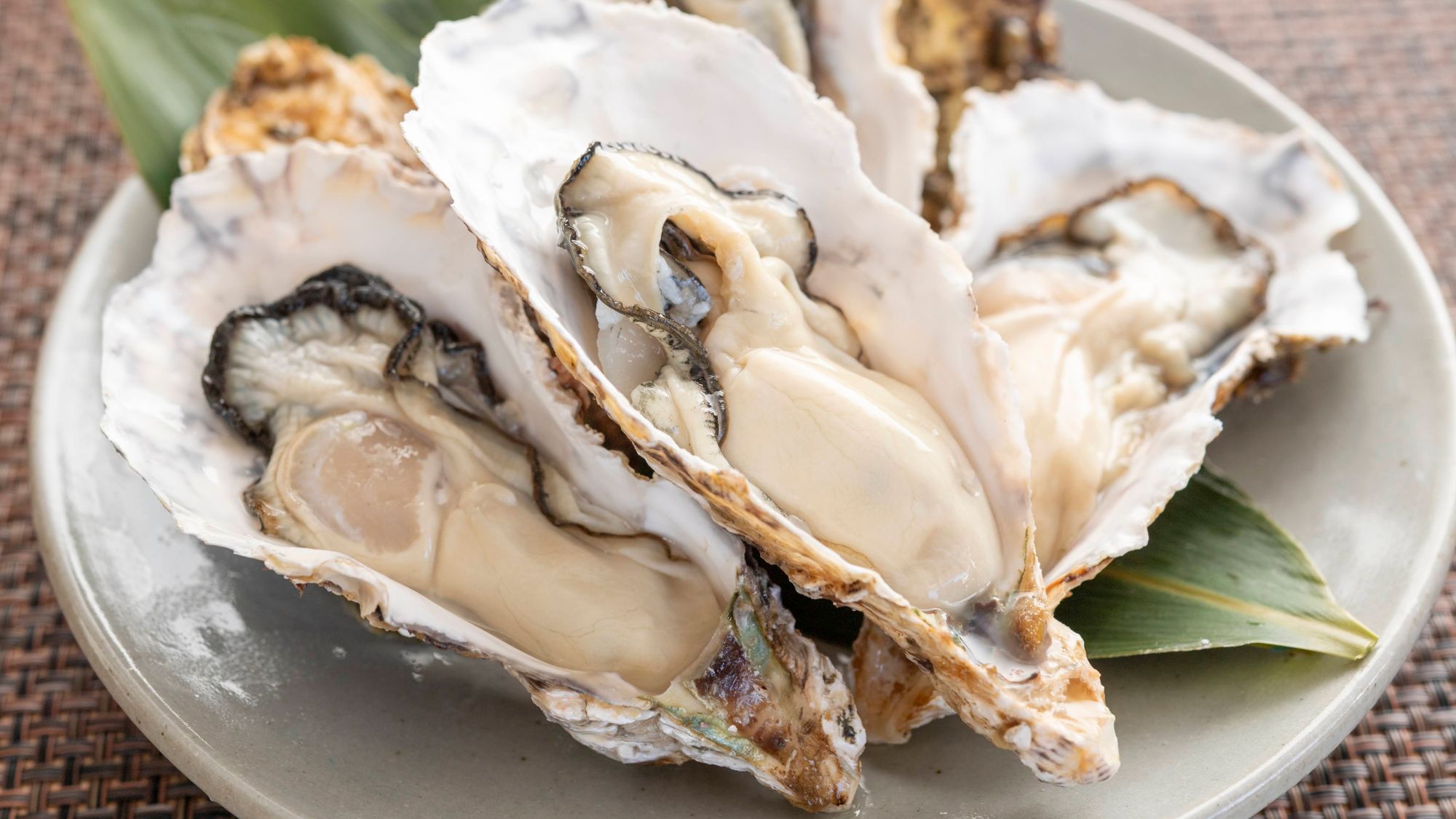 宮城の豊かな海で育った牡蠣。栄養も豊富で濃厚な旨味が特徴です。