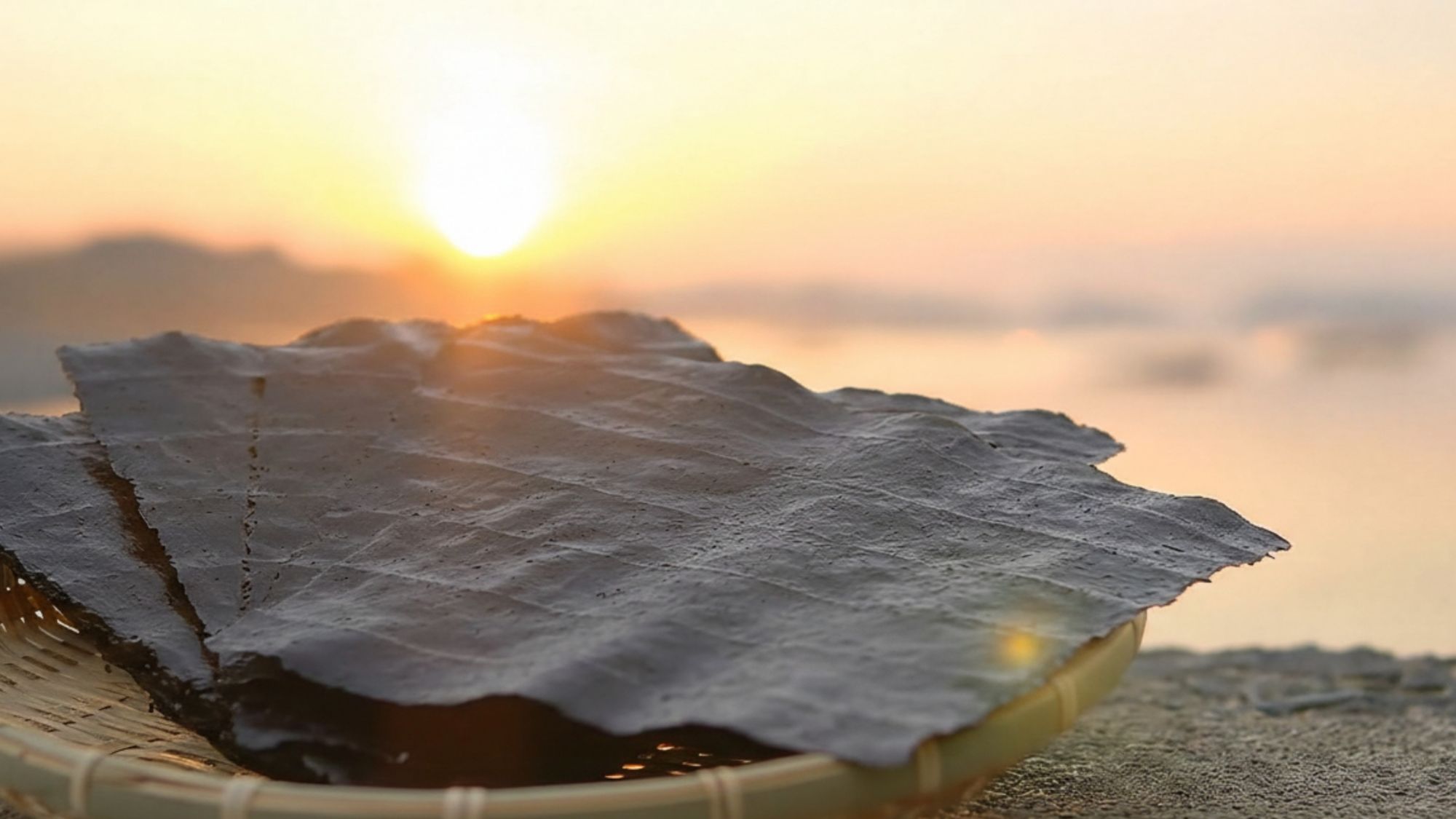 東松島市「かきのりプロジェクト」。東松島ならではの食の体験をどうぞ！