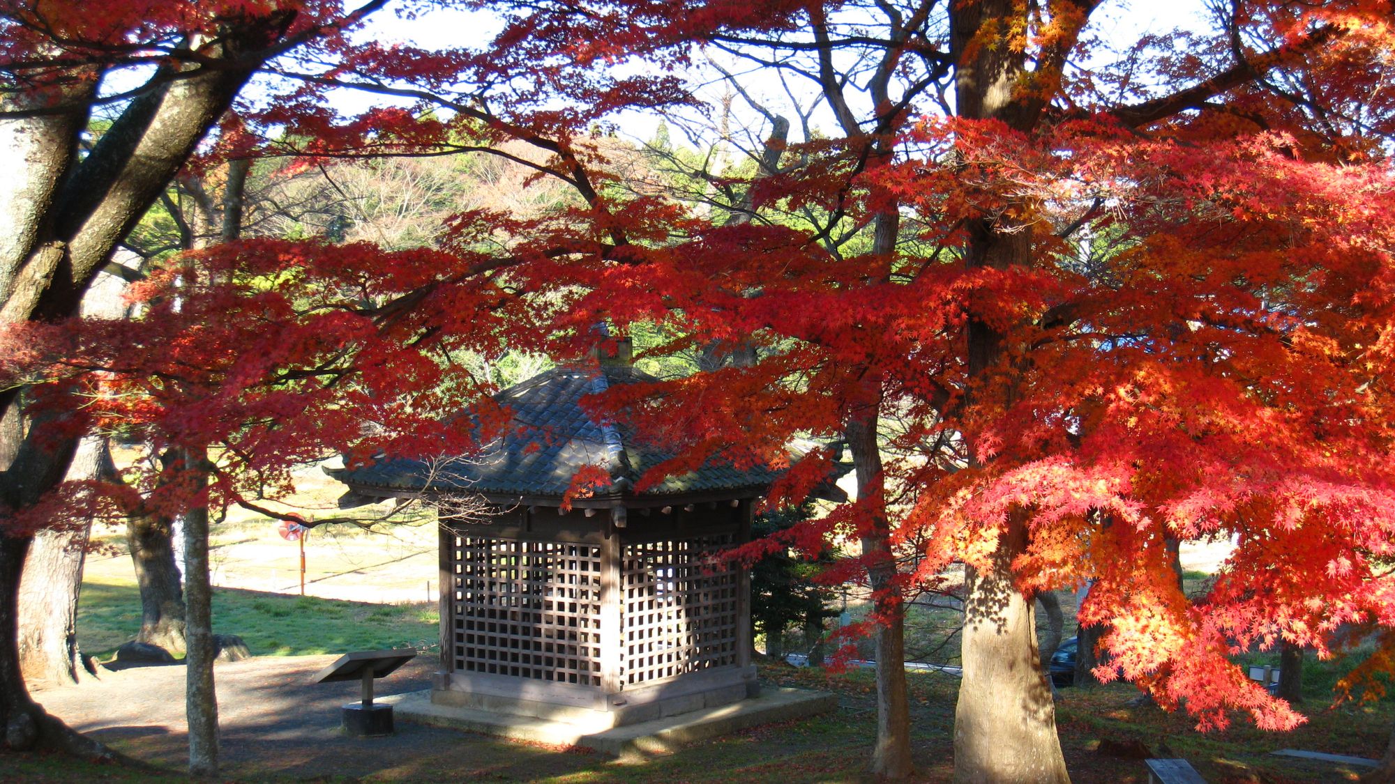 【多賀城碑（多賀城市）】日本三古碑の一つで奈良時代に建てられた。芭蕉も訪れ感激した地です。