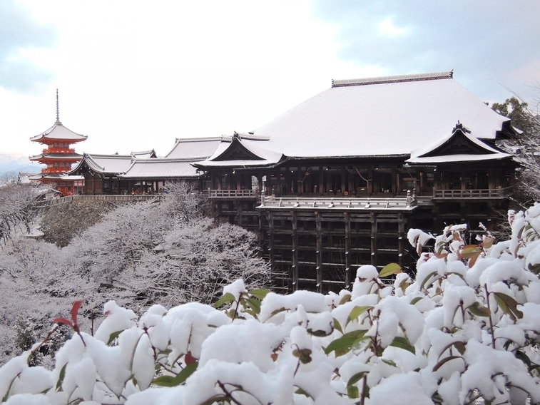 【スタンダードプラン】全室洗濯機付き♪雪景色の京都旅行へ♪