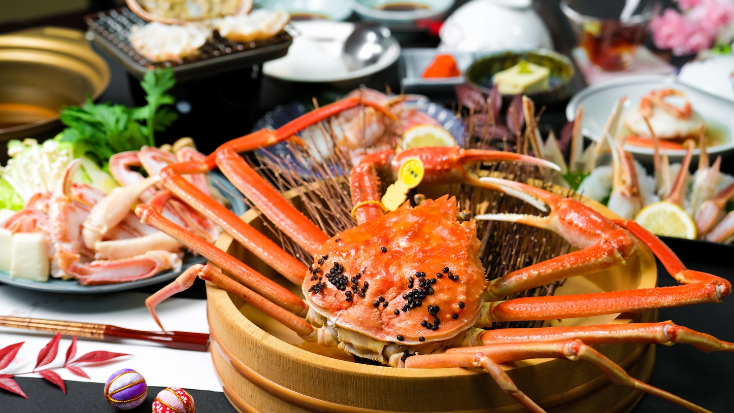 【プレミアム】絢爛・越前かにフルコース◆日本海の味覚の王様☆『越前ガニ』を食べつくそう！！