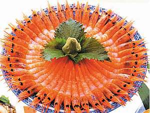 民宿ニュー越前 格安予約 宿泊プラン料金比較 トラベルコ 民宿ニュー越前 格安予約 宿泊プラン料金比較 トラベルコ