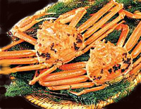 越前かに２はい