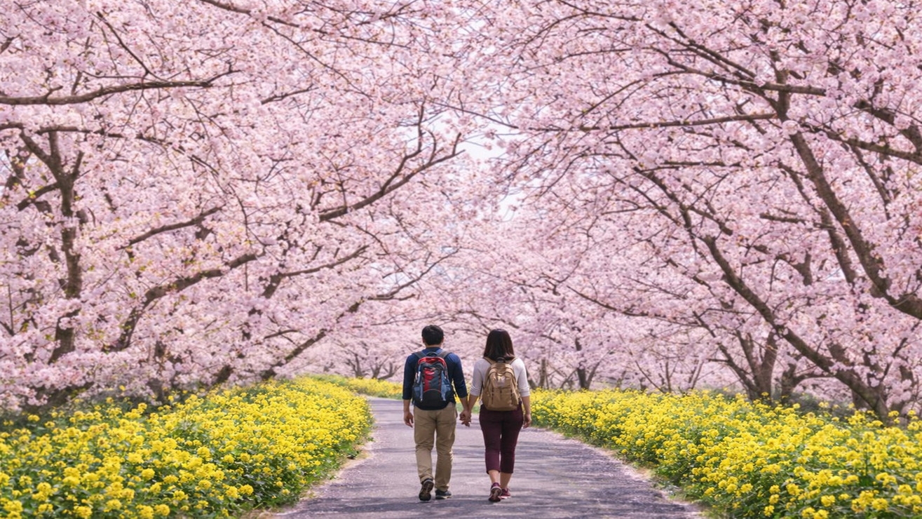 【早期割60】60日前のご予約で通常プランより最大15％OFF！＜朝／夕食付き＞