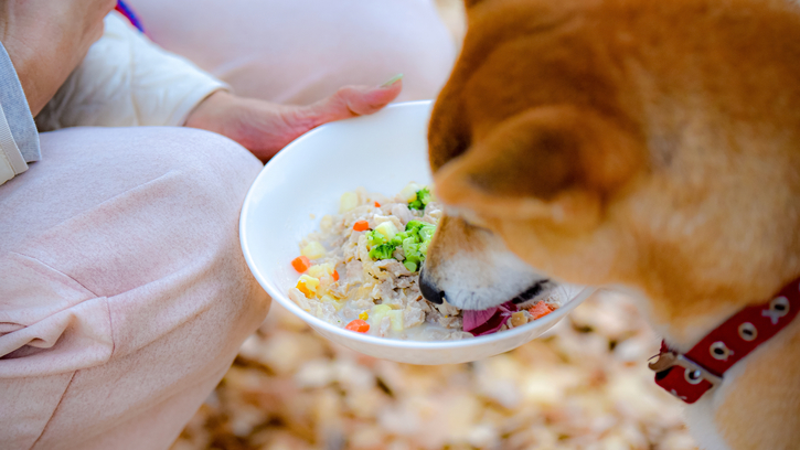 【直前割】空いていたらラッキー！＜1泊朝食スタンダード＞平日限定で伊豆ワンがお得♪＜特典付き＞