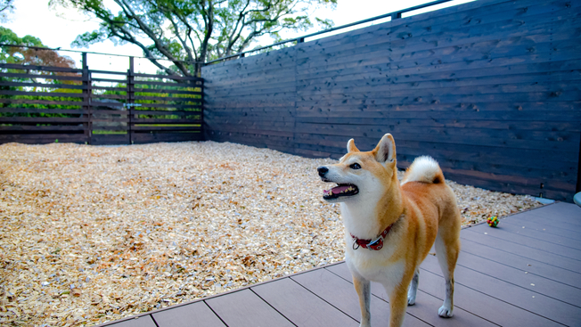 【１泊朝食スタンダード】愛犬が主役！わんちゃんが一番喜んでくれる思い出を作るならココ！＜特典付き＞