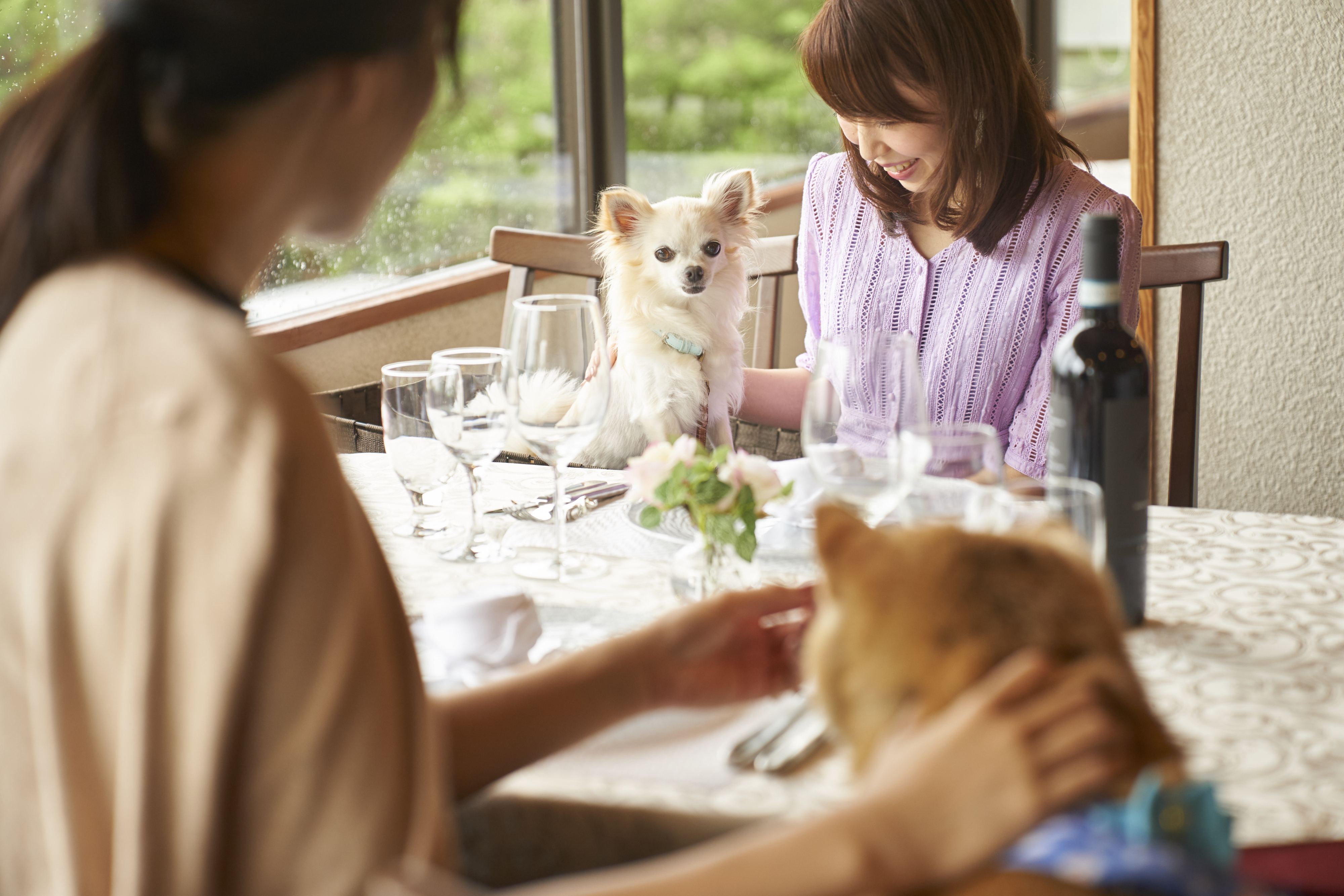 ワンちゃんと一緒にお食事OK　レストラン5