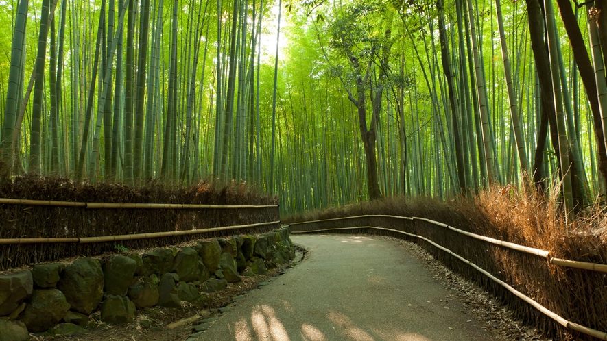 【嵐山 竹林の小径】