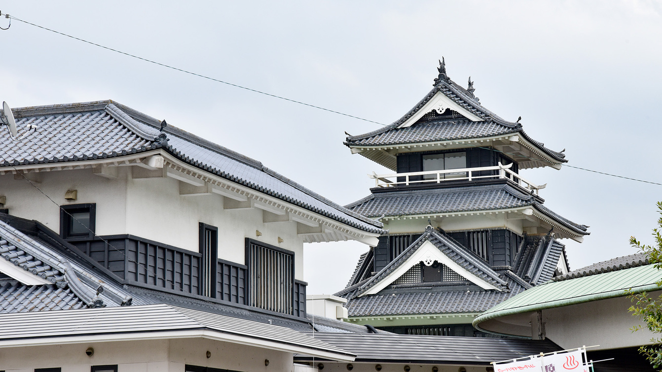 素泊まりプラン　チェックインは21時まで☆自由気ままな温泉旅！